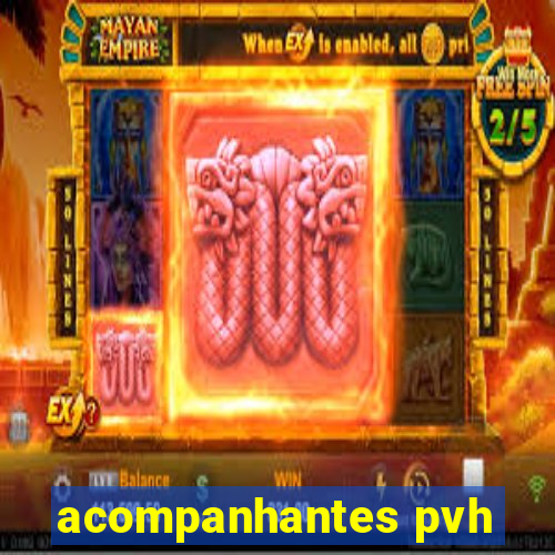 acompanhantes pvh